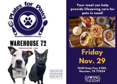 Houston Humane Society | Plates for Paws | Warehouse 72